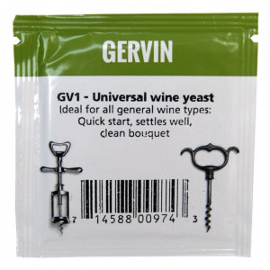 Gervin GV1